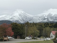 IMG_8541