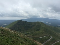 IMG_8382