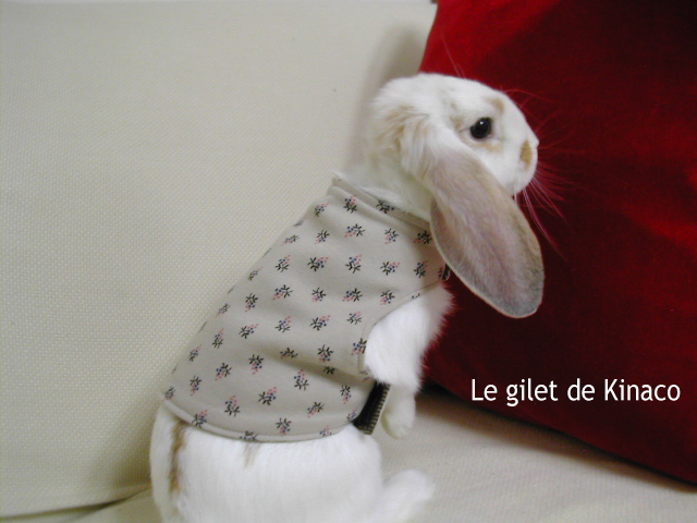 うさぎ服 Ma Chambre