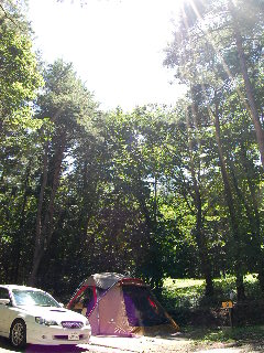 盛岡市都南つどいの森 ２日目 ちょこのひとりごと