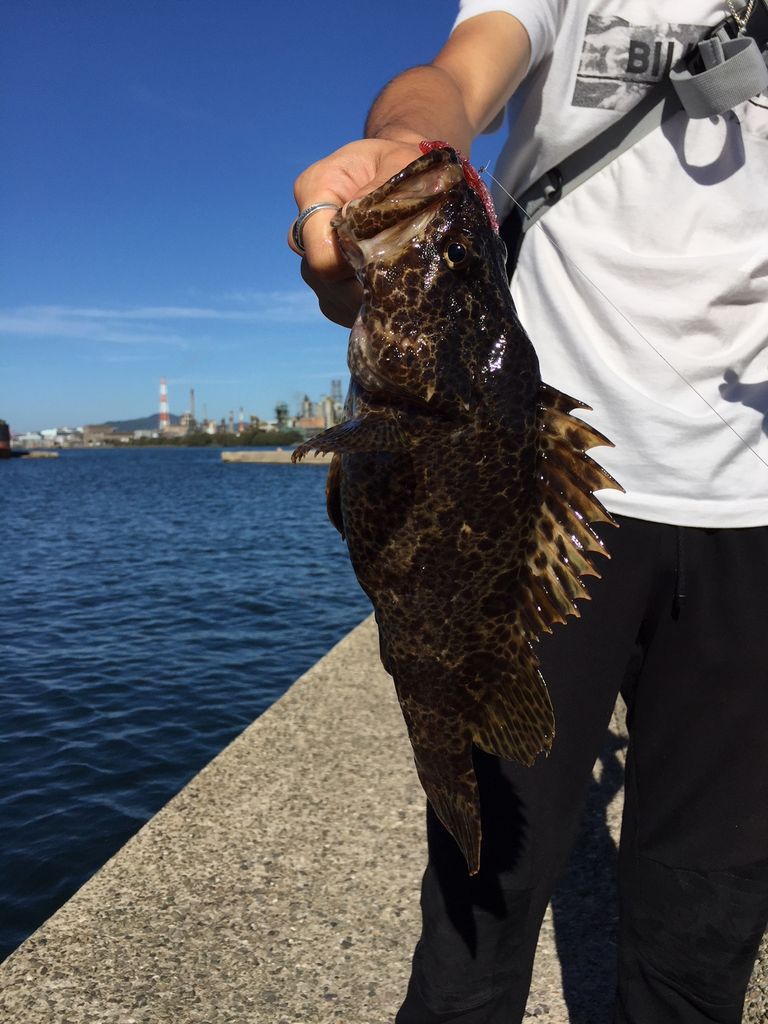 日明海峡釣り公園 西港近辺 シーバス ロックフィッシュ 釣り ロードスターで釣りへ行こう 日明海峡釣り公園 西港近辺 シーバス ロックフィッシュ 釣り ロードスターで釣りへ行こう