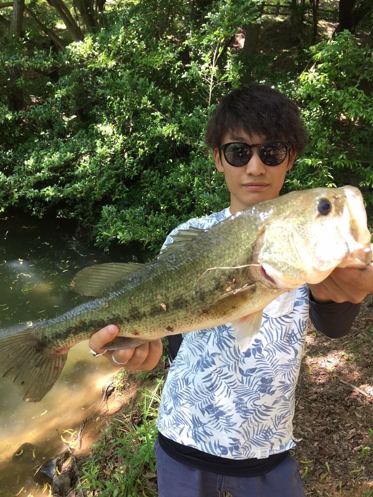 飯塚周辺のダムで40upのブラックバス 提灯釣り とは ロードスターで釣りへ行こう 飯塚周辺のダムで40upのブラックバス 提灯釣り とは ロードスターで釣りへ行こう