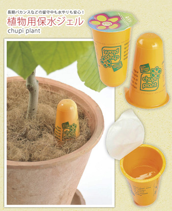 チュピ プラント