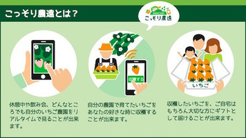 こっそり農遠