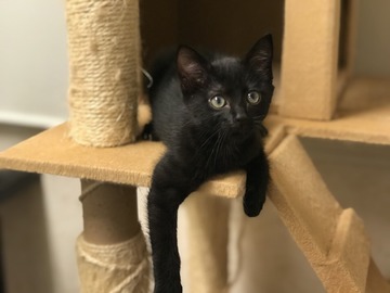 6FA4C714-43F4-4A13-9629-085E26BCA741