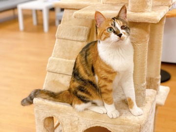 CD2AF377-A34B-4081-850E-5CFAE0E89765