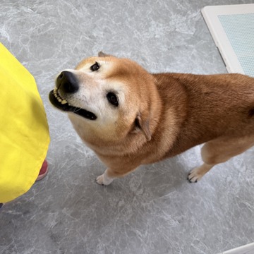 1782196289419