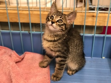 62A9DE21-1F83-4016-B194-0286FD5FA2B9