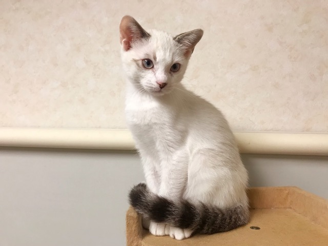 4EE1F3DD-37D8-491A-BDCD-4B15823A70F3