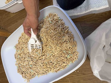 IMG_7468