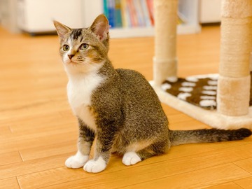 C47D4EC4-0491-4197-8565-55279B3A17D9