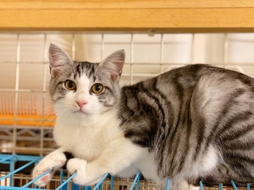 8965E09B-EC0C-4916-B807-FAF2A19646A8