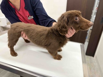 FullSizeRender