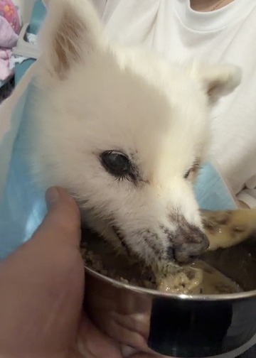 IMG_8865