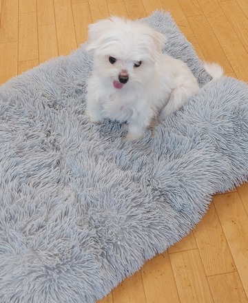 20230311_132727