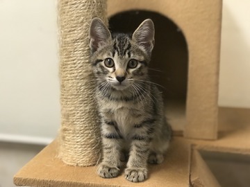 B6D63552-F562-42A4-AEA9-3ED18A97663C