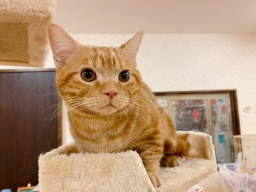 CF541360-54E7-45E7-AE01-A5540266EDA0