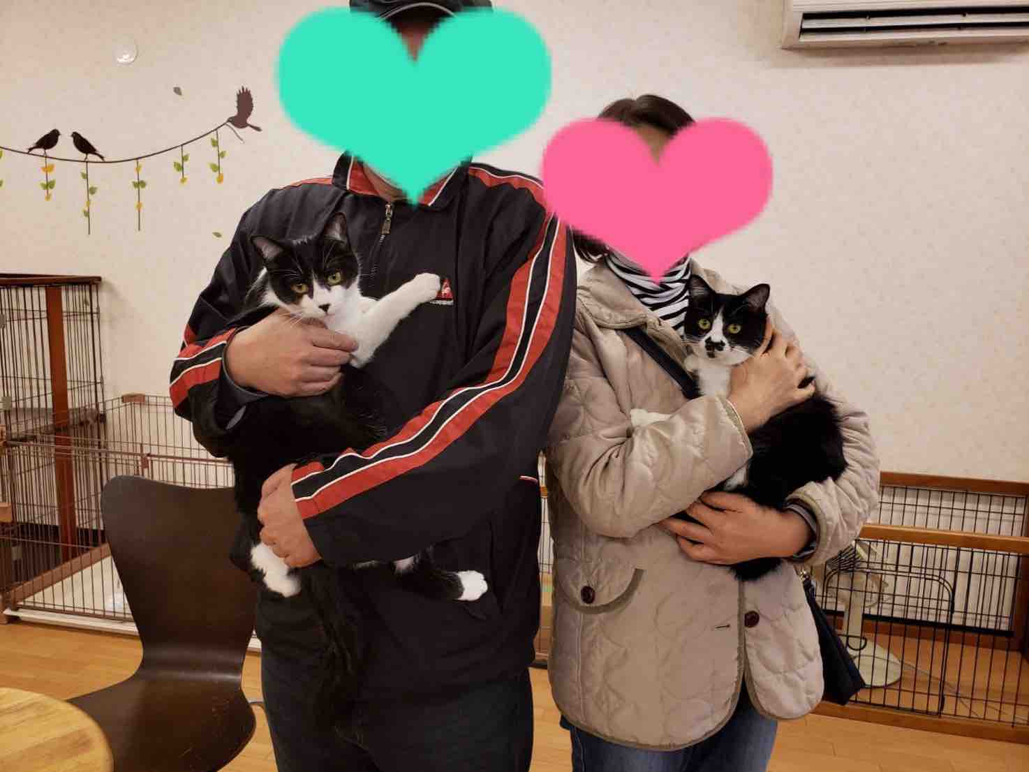 つつじちゃんとさつきちゃんの里親さん