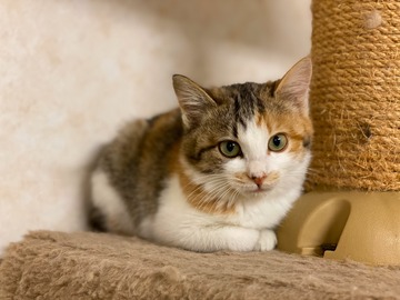 A81EF11A-1140-40B2-AB54-65966313B822