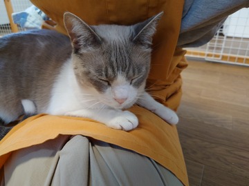 DSC_4019