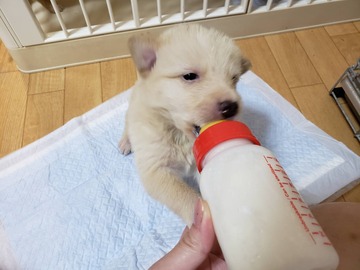 92A47EC0-89F9-4D05-B2C2-1128A8BD395C