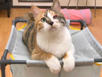 44D2164E-9A51-4628-B508-672ADE86D467