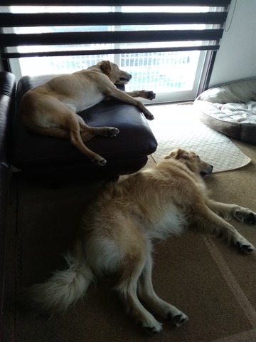 CB88DE7E-4D51-4253-84BB-AF708CF6077F