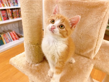 6E1FDAFC-D6BD-4585-9A9C-76B82CF2D32D