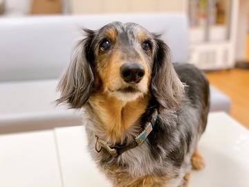 604459DB-1C91-4AC6-B0A7-1B5C7483CED5