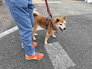 IMG_1645