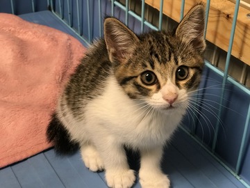 C8D295AA-73C6-43F3-96DE-98883CC9E0E3