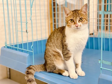 78384EAB-C807-4A2A-953B-9F104DAD0091