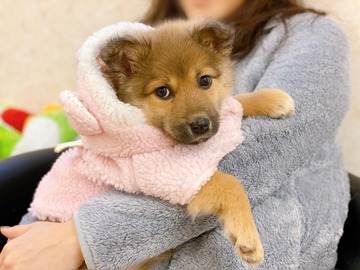 5D24D6D6-1E6D-4BE5-A2C0-EDC8A6F72B82