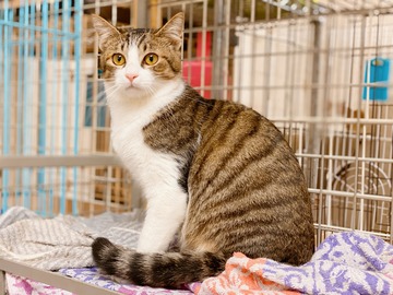 C739BBB6-30BE-435D-9049-F55439B970AA