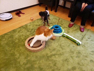 20190407_111915