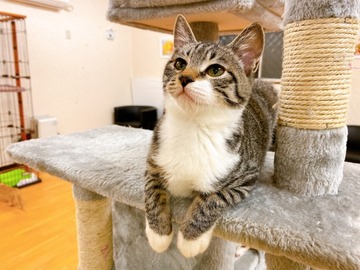 BF7EA81F-AE13-4AB1-95AD-90F3DBF64953