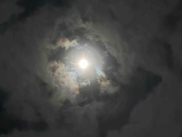 IMG_6596