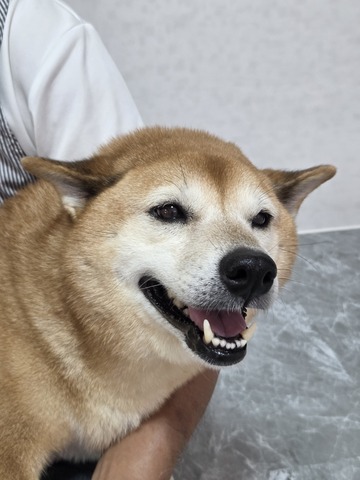 20260725_105642