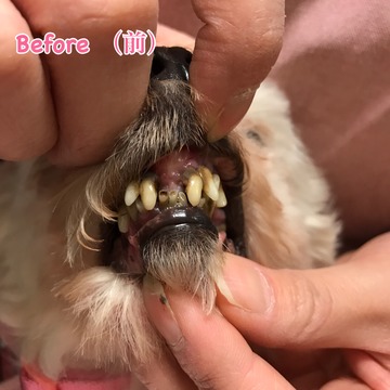 B1BCEB84-1146-4051-9B03-EC3ECD637E0C