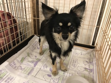 06577A22-8C7E-4FF6-8824-353CB8096C60