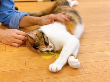 1AEDB9E7-4CE3-42C2-AC83-DDBDE5B77926