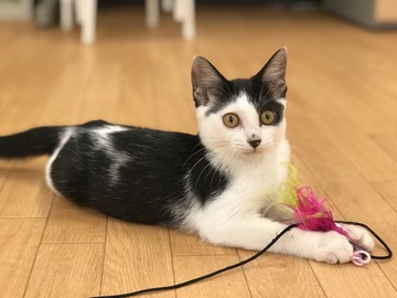 BD1FDF89-3B70-4225-8753-004D14F63DD3