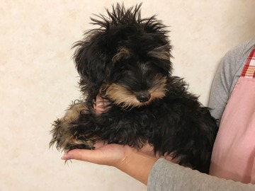 1ACDA8D3-F685-4B95-9E41-762E2F99F8B9