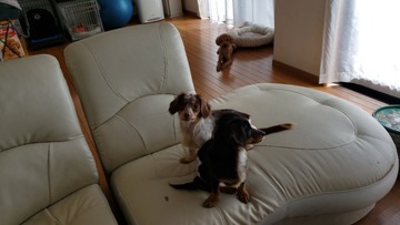 20190418_120305