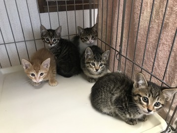 FDD39A28-17F1-4CC2-9966-7F558A414F5C