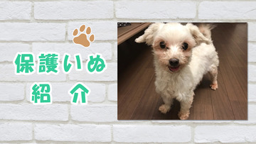 くるみ　サムネ