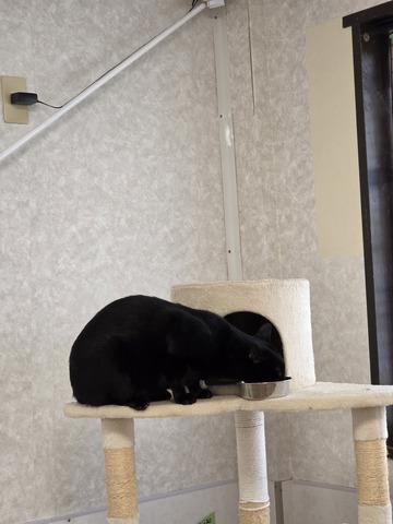 20260816_102909