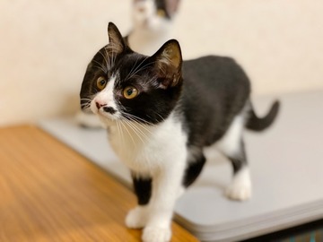 66BCB981-6246-4563-91DA-BF39CB27880A