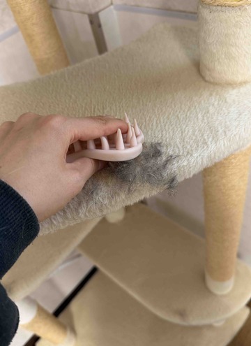 FullSizeRender