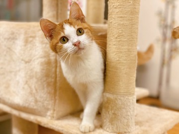 84BC689B-A3EC-4A00-9547-99C0CB892BF4